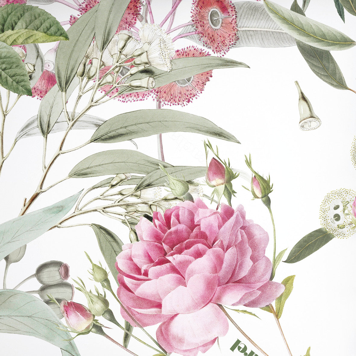 Pillowcase(s) cotton satin - Jardin de Roses Thyme Green / White