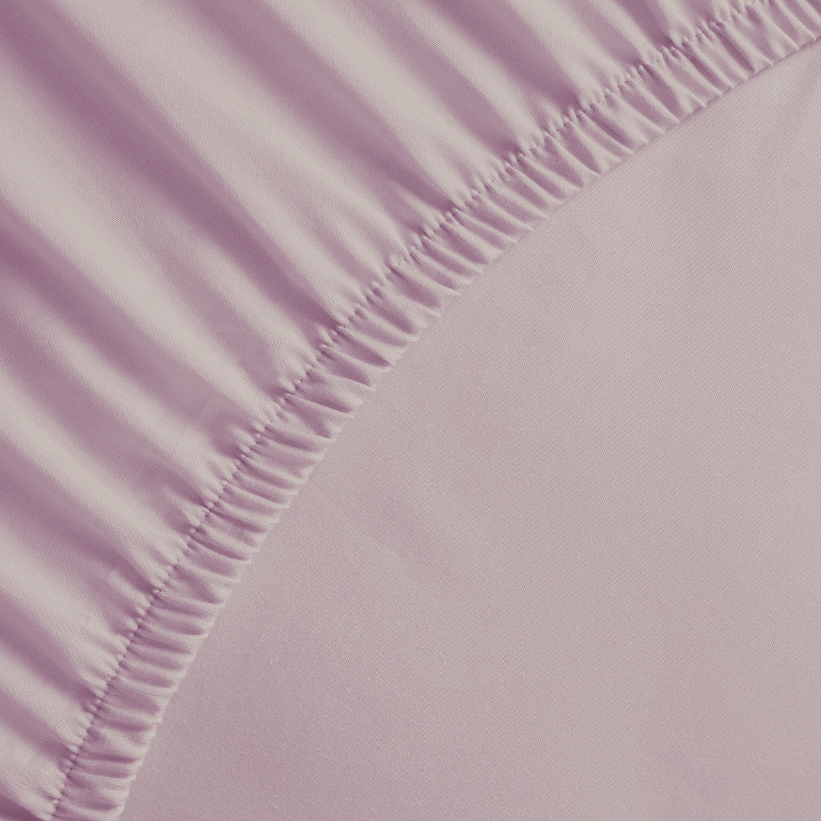 Fitted sheet cotton satin - Uni Purple 01
