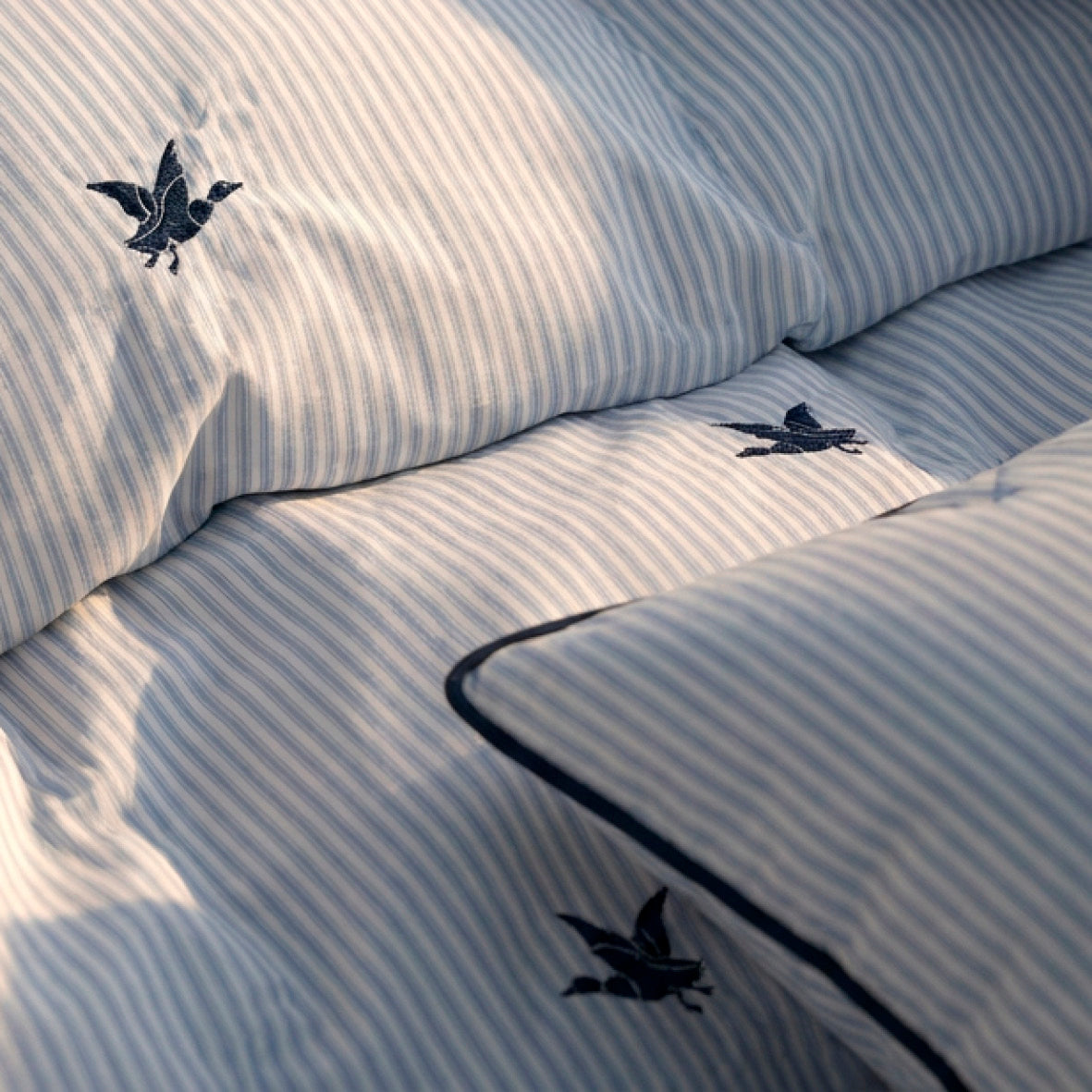 Flat sheet cotton satin - Canards rayés Blue