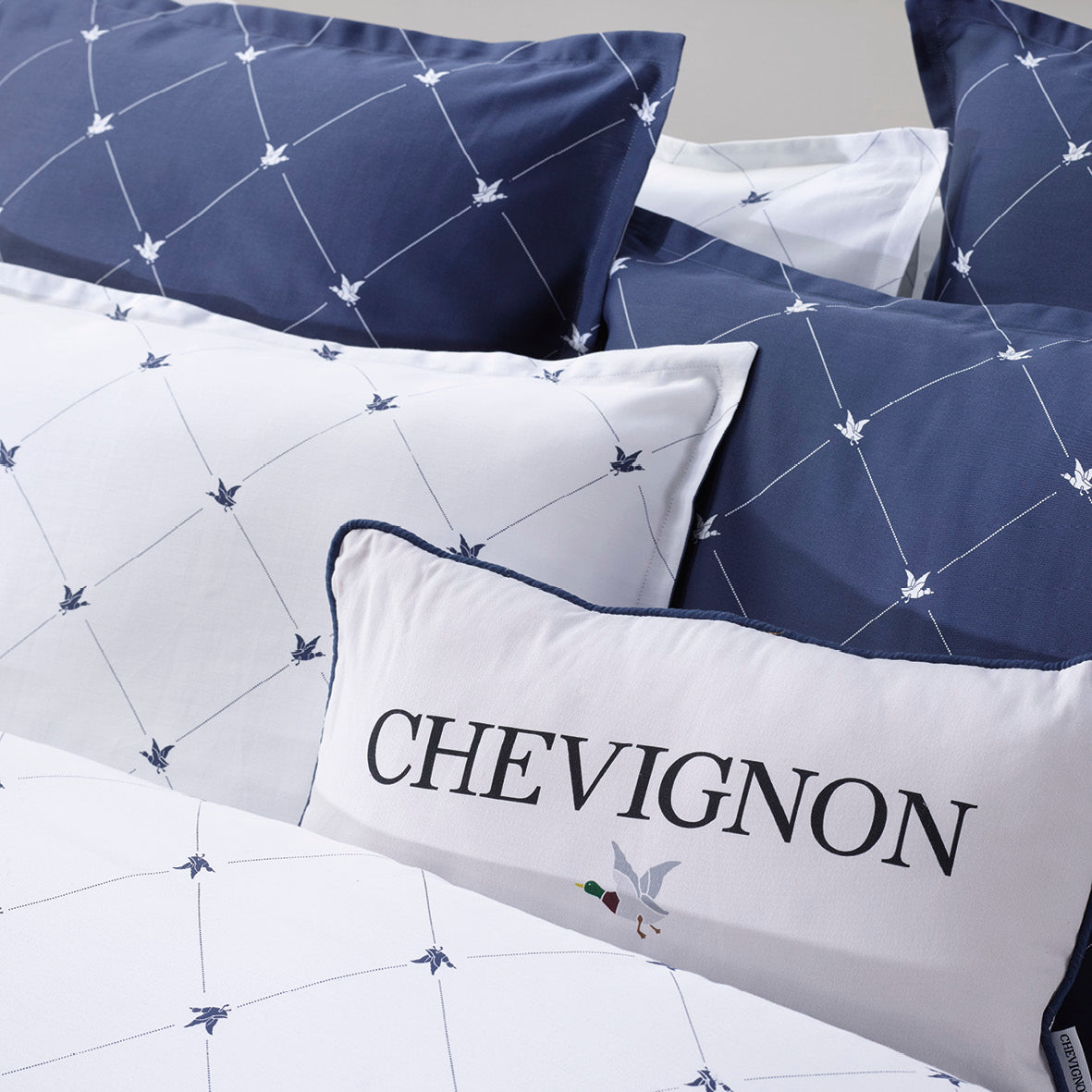 Duvet cover + pillowcase(s) cotton satin - Canards Evy Blue
