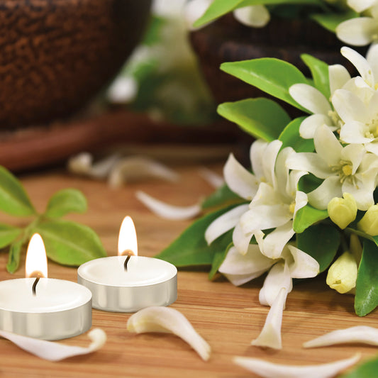 Set of 12 tealights - Ylang & Jasmine