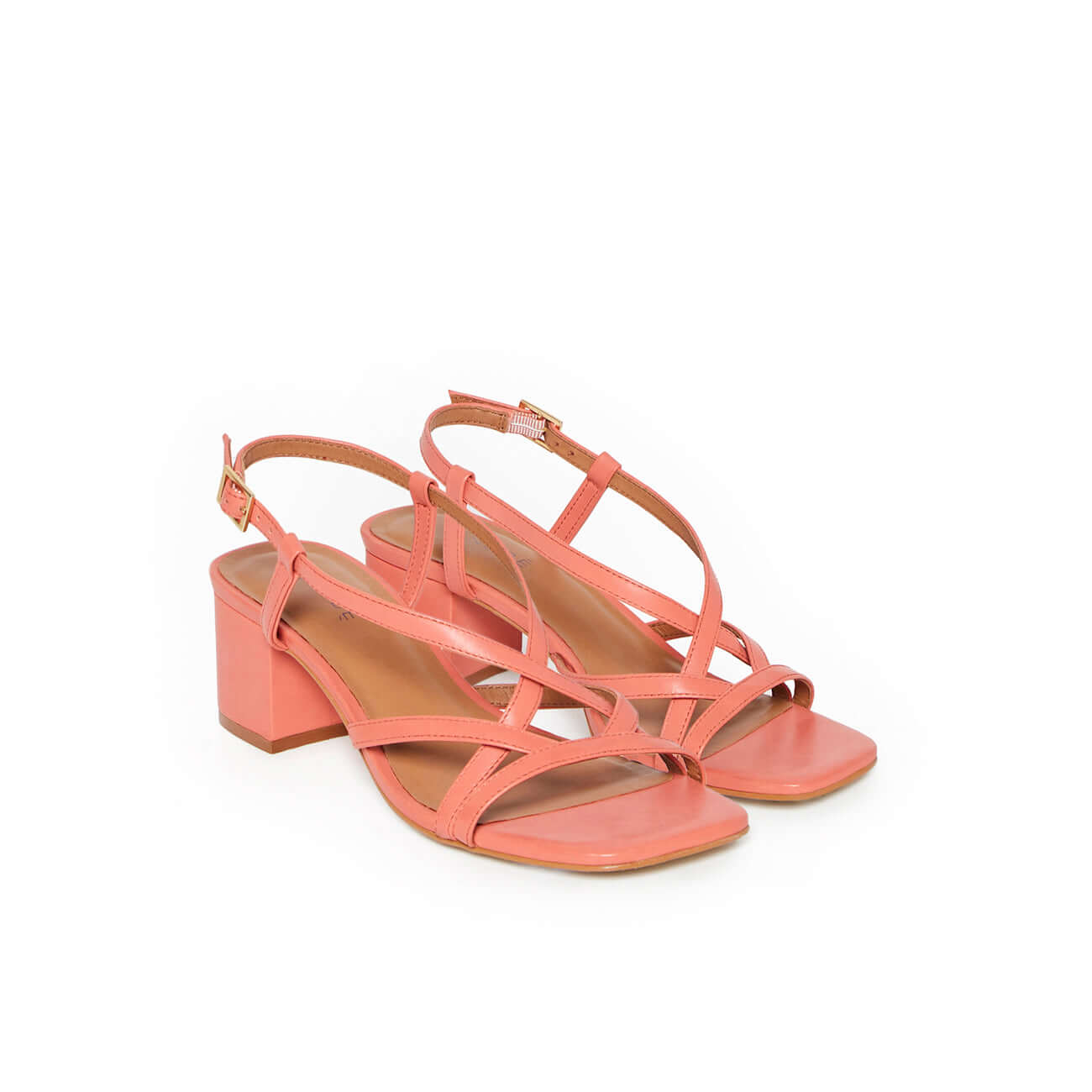 LYSIA CORAIL