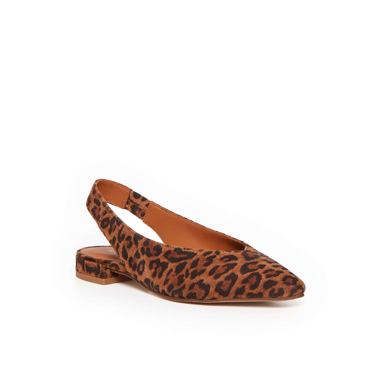 ROSEE LEOPARD