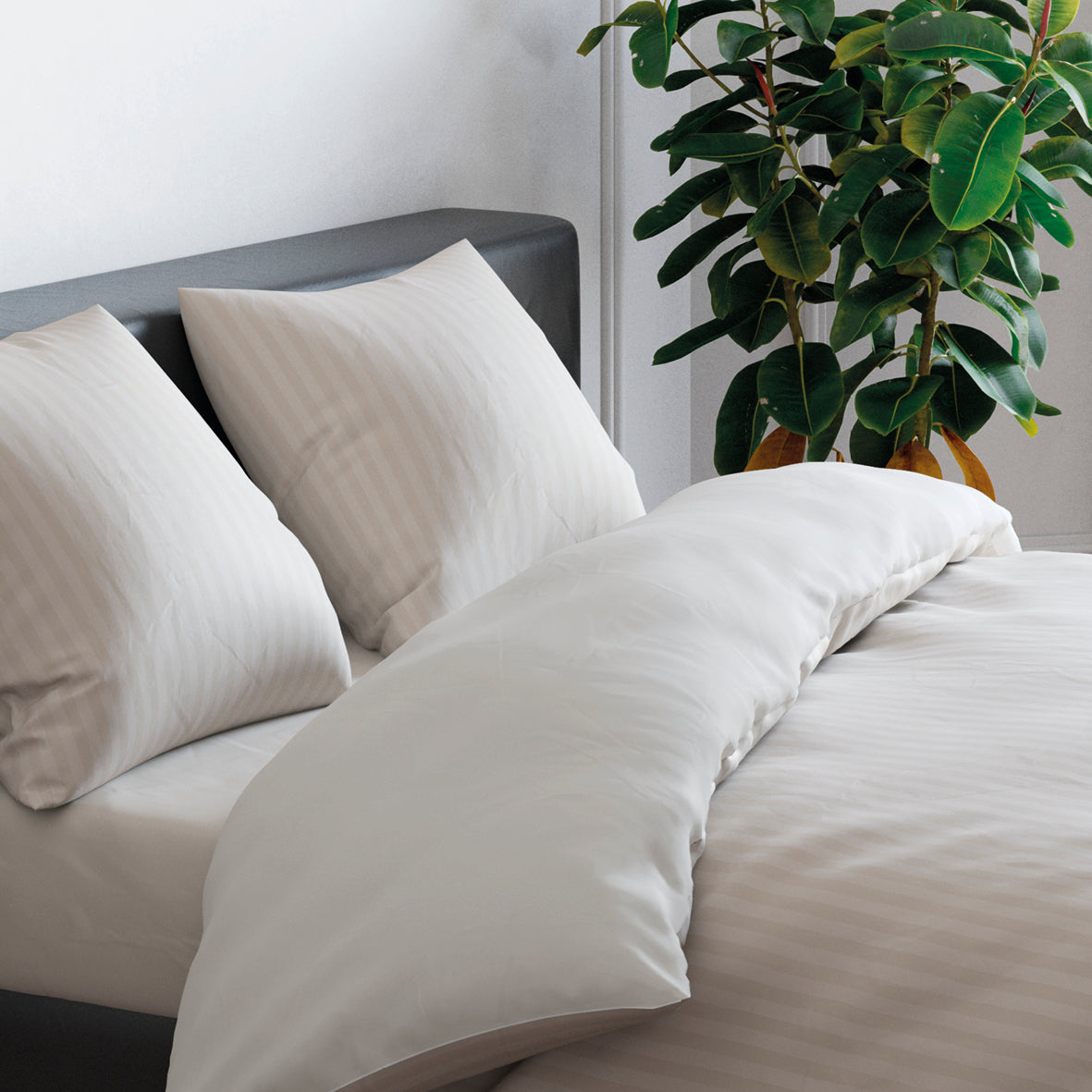 Set of 2 pillowcases cotton satin dobby stripe woven Taupe - 50 x 70 cm