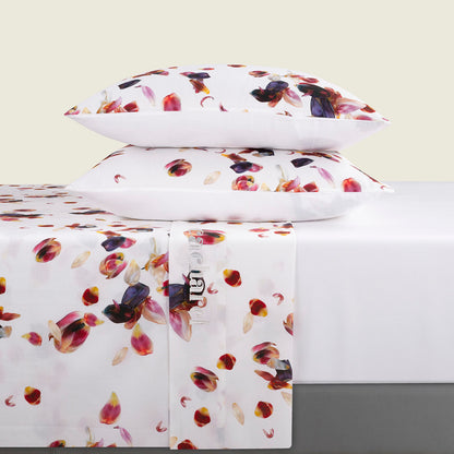 Sheet set cotton satin - Aurore White
