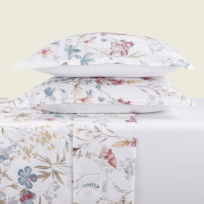 Pillowcase(s) cotton satin - Colibri chantant D White