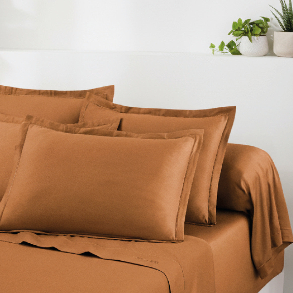 Sheet set cotton satin - Uni 1 baratta Brown 01