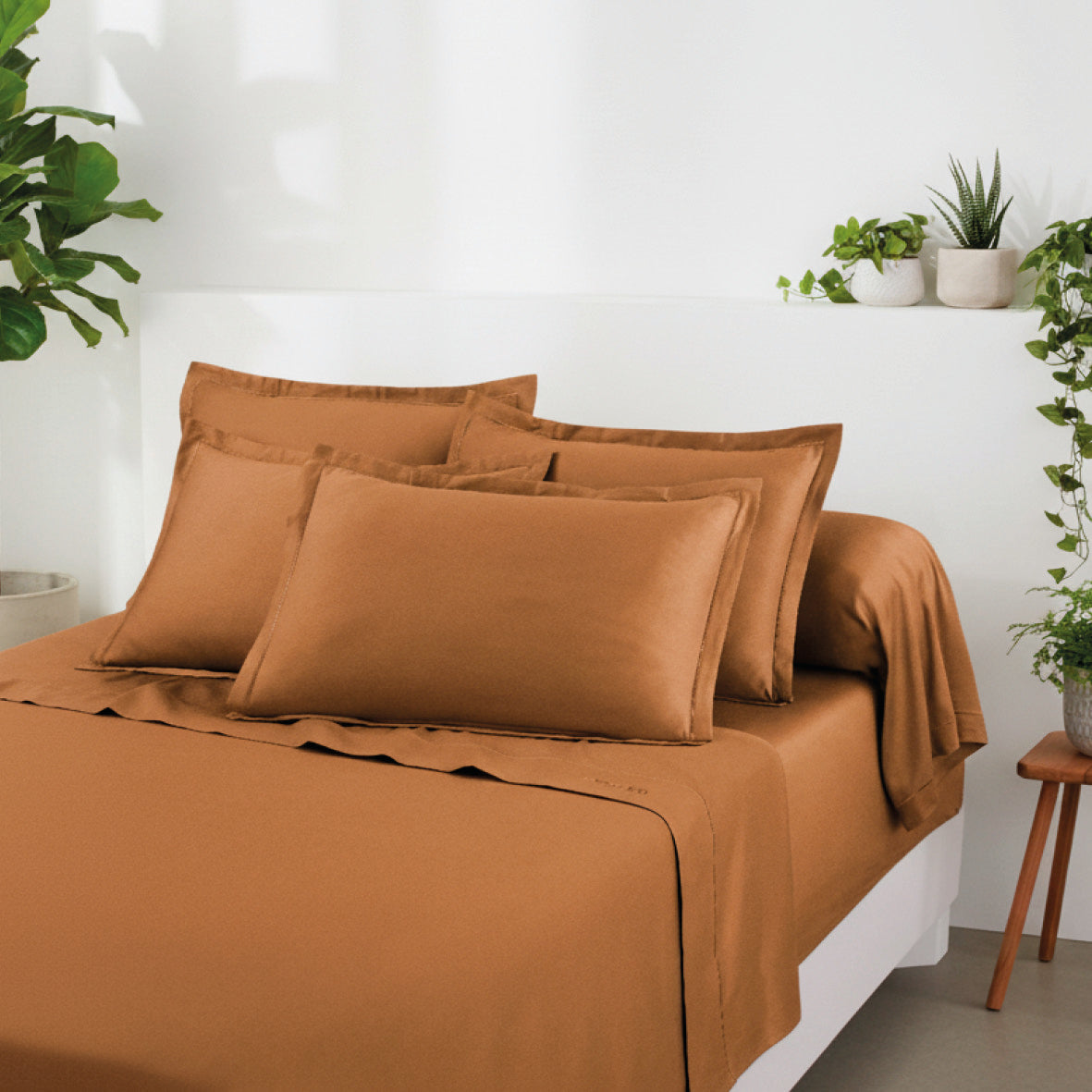 Sheet set cotton satin - Uni 1 baratta Brown 01