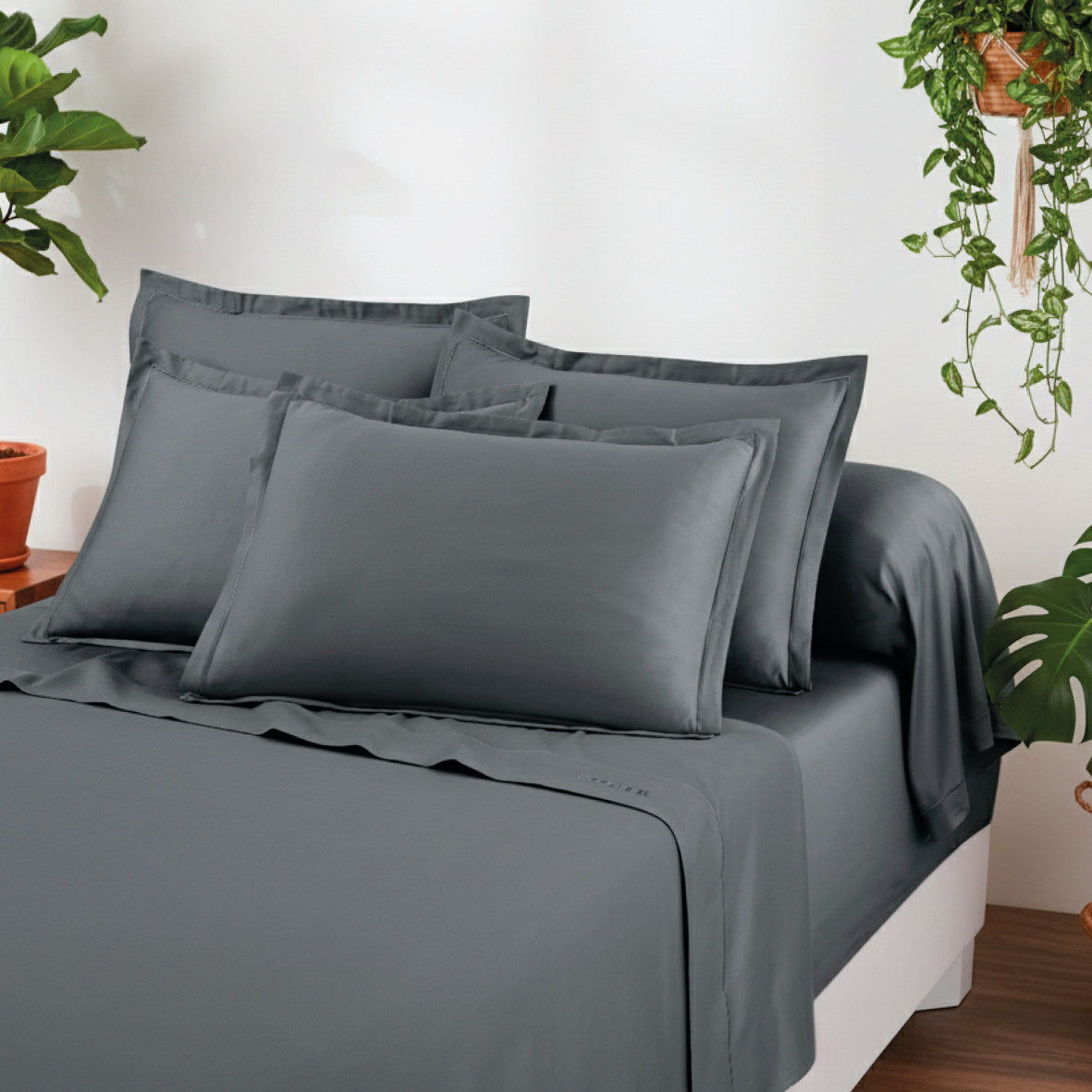 Flat sheet cotton satin - Uni 1 baratta Grey 02
