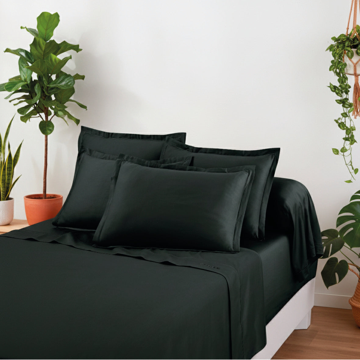 Flat sheet cotton satin - Uni 1 baratta Grey 03