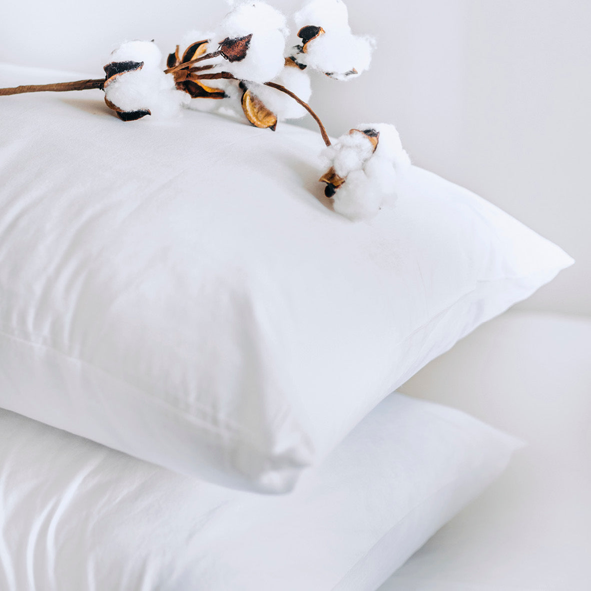 Duvet cover + pillowcase(s) cotton satin - Uni white