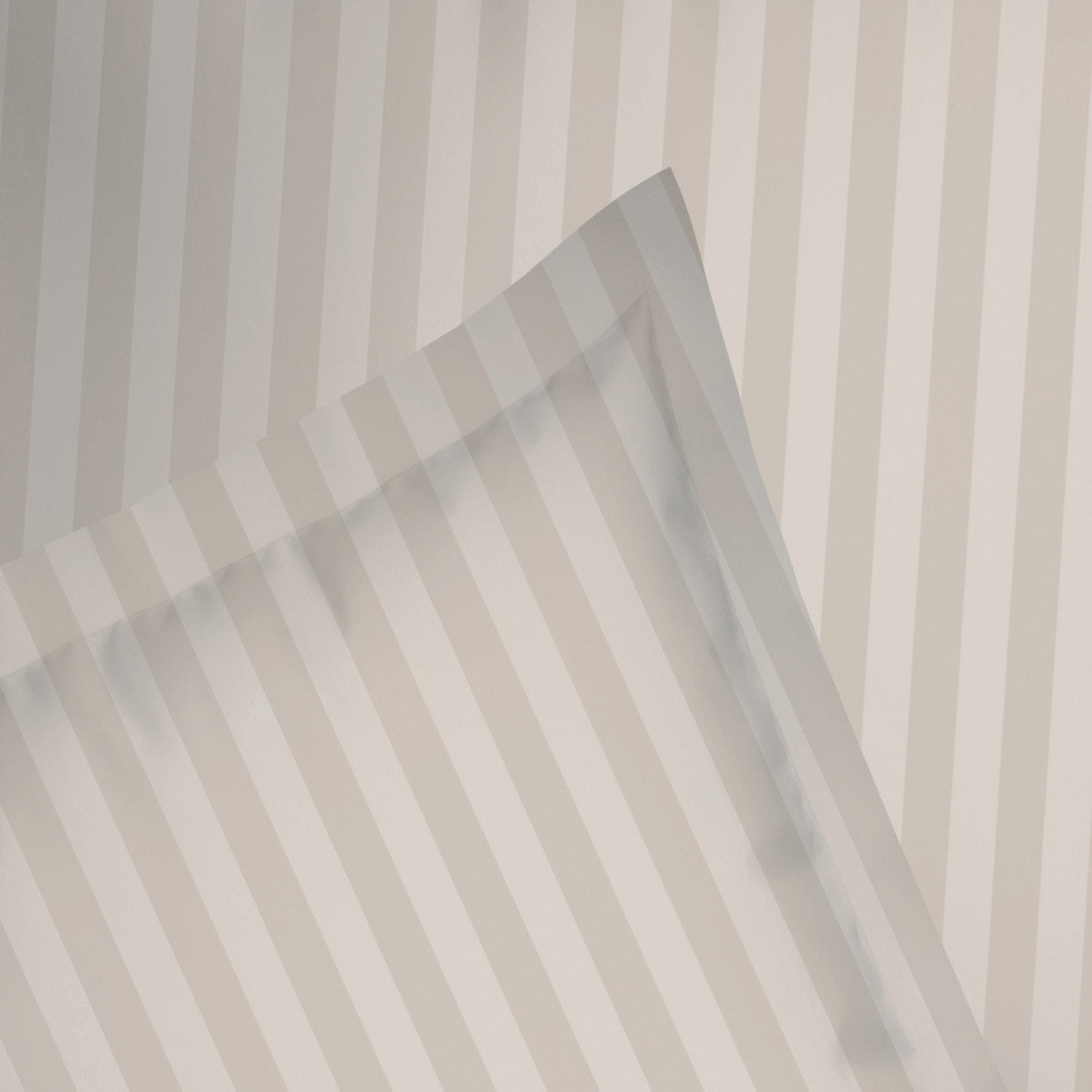 Flat sheet cotton satin dobby stripe woven - Taupe