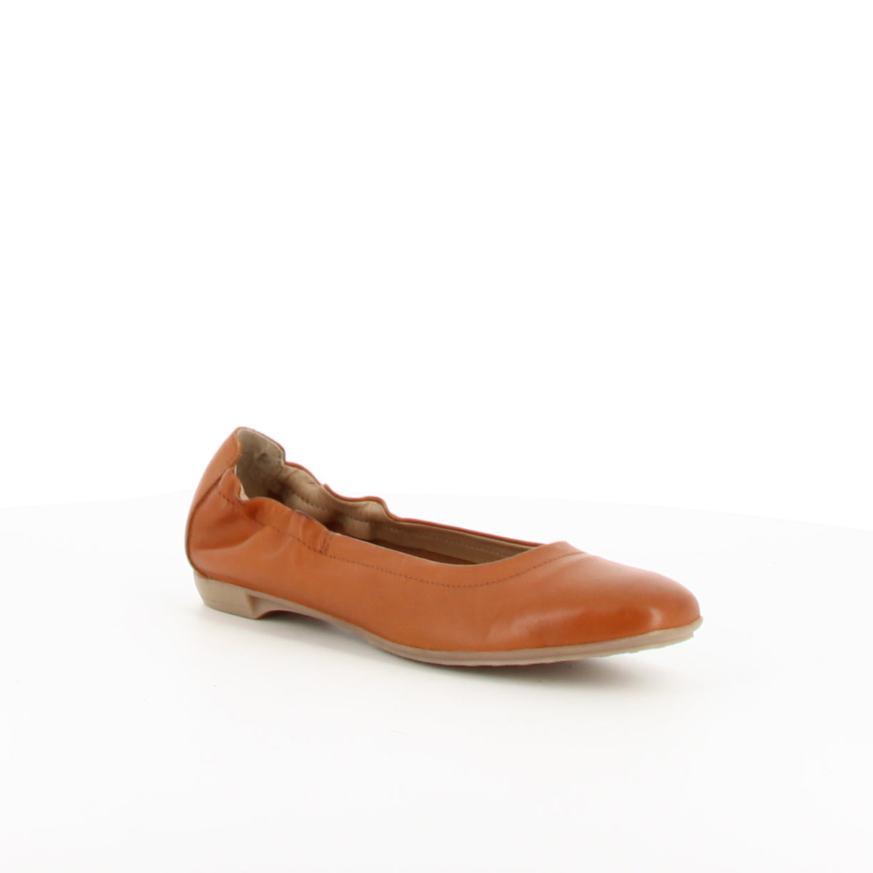 NINA 6 CAMEL