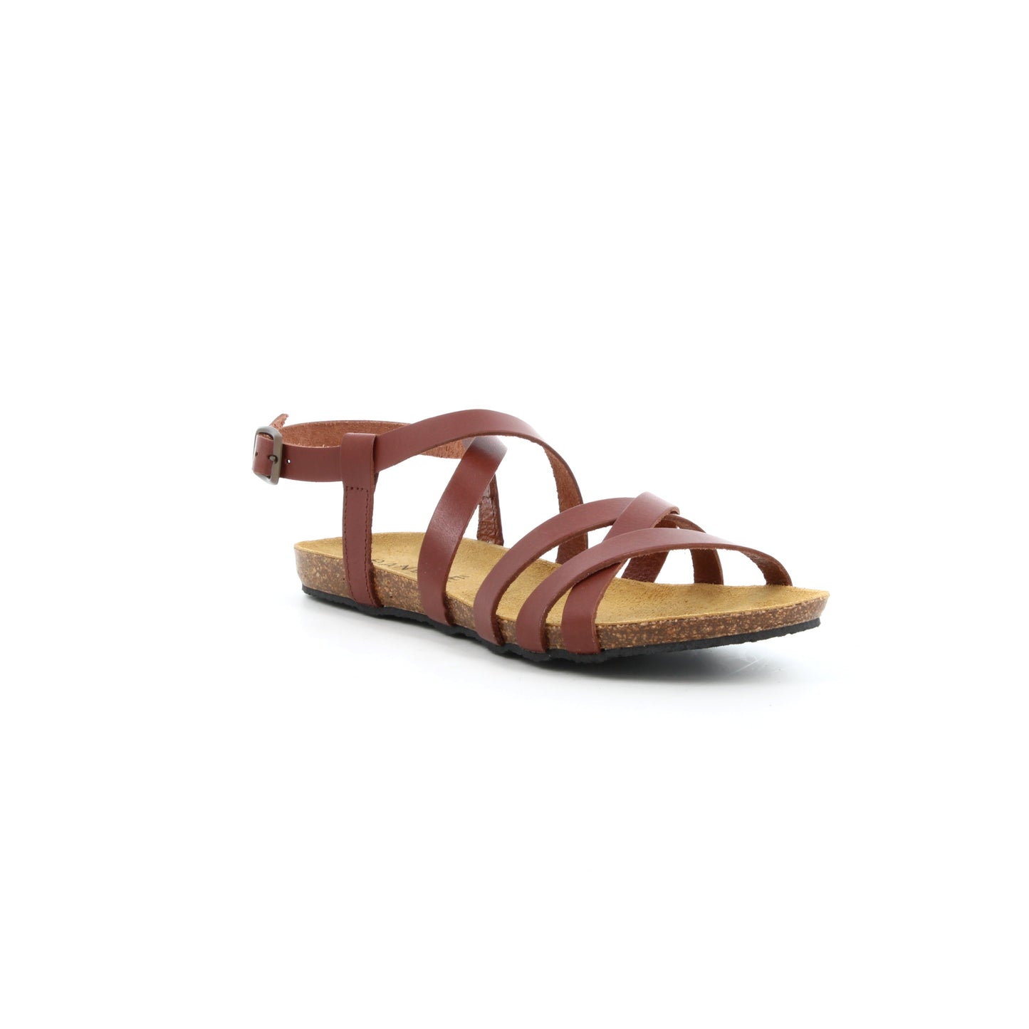 ATLASS CAMEL