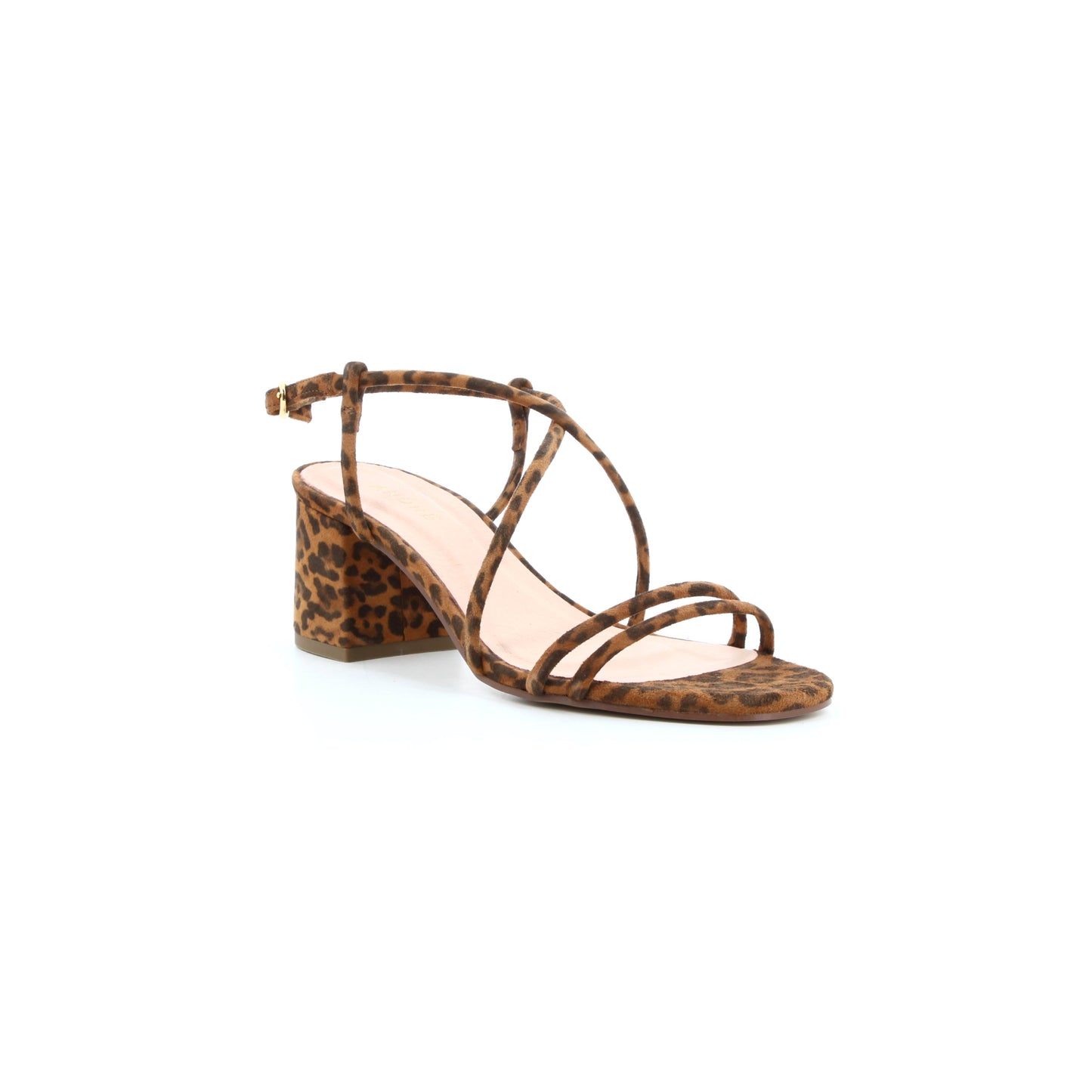 KAT 6 LEOPARD
