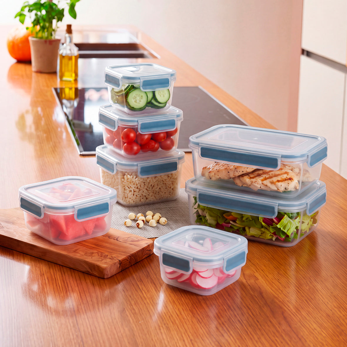 Set of 10 plastic containers with lid