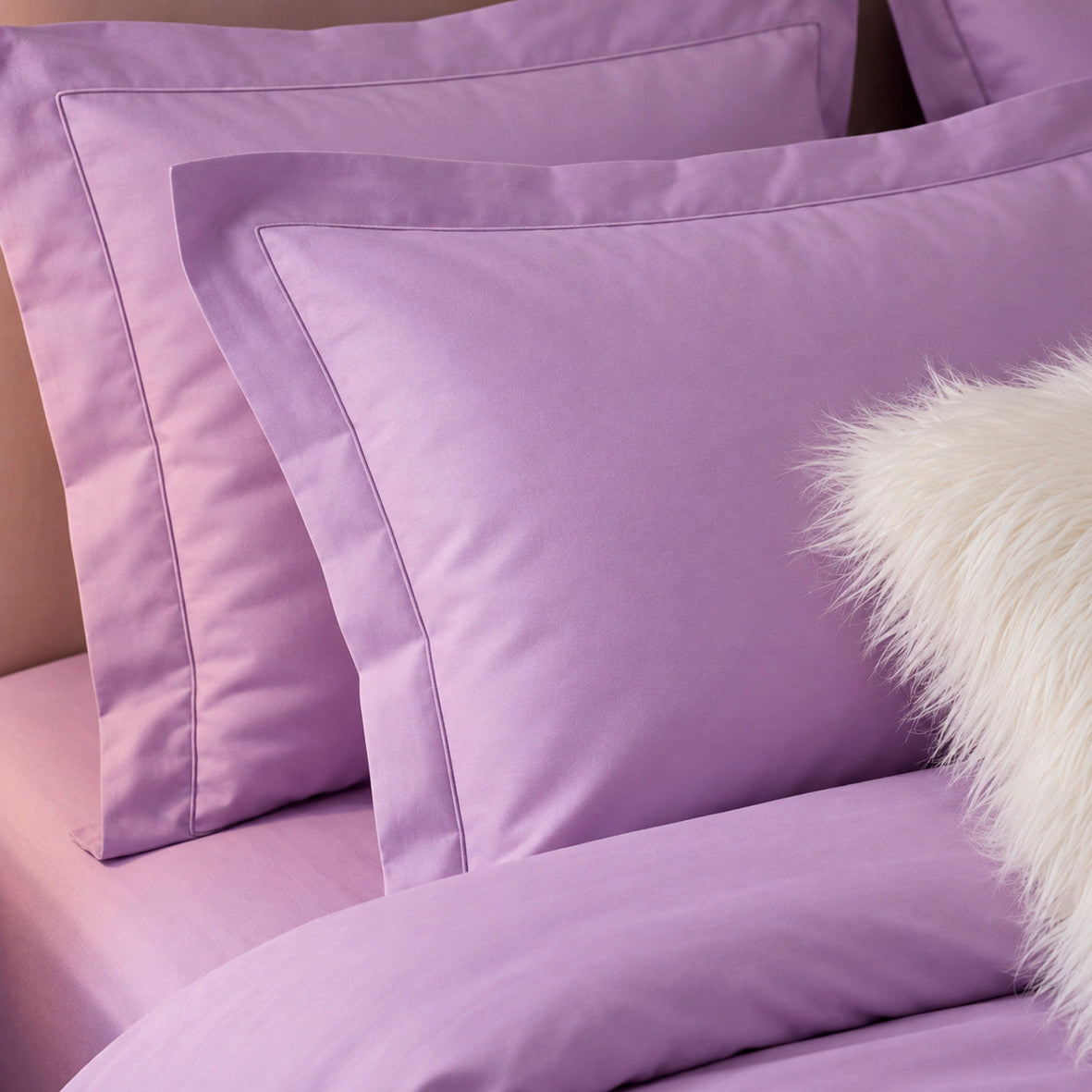 2 pillowcases - 100% cotton sateen TC200 - Uni - lavender