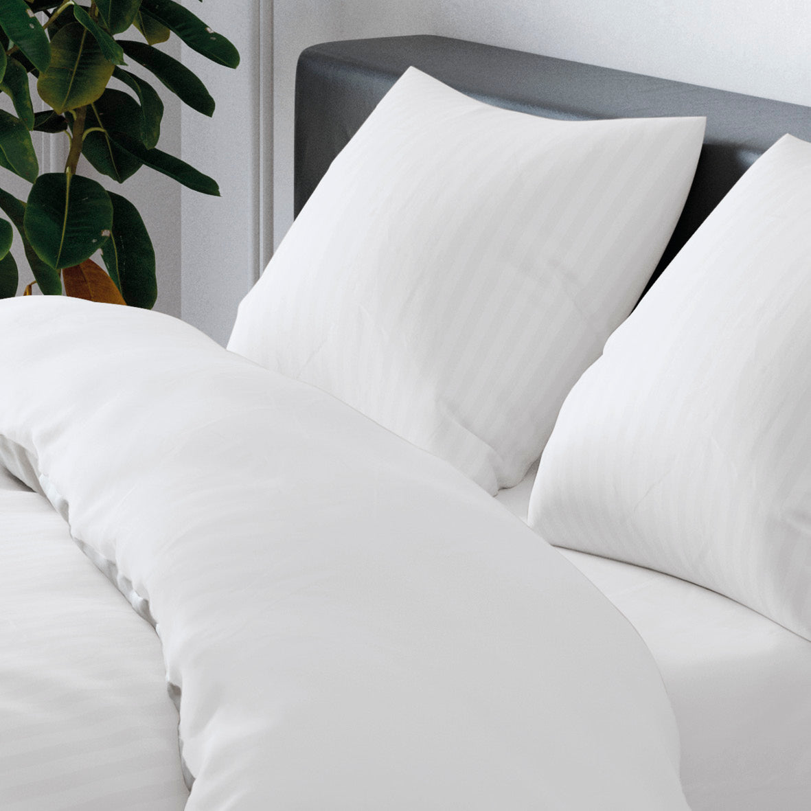 Duvet cover + pillowcase cotton satin dobby stripe woven White