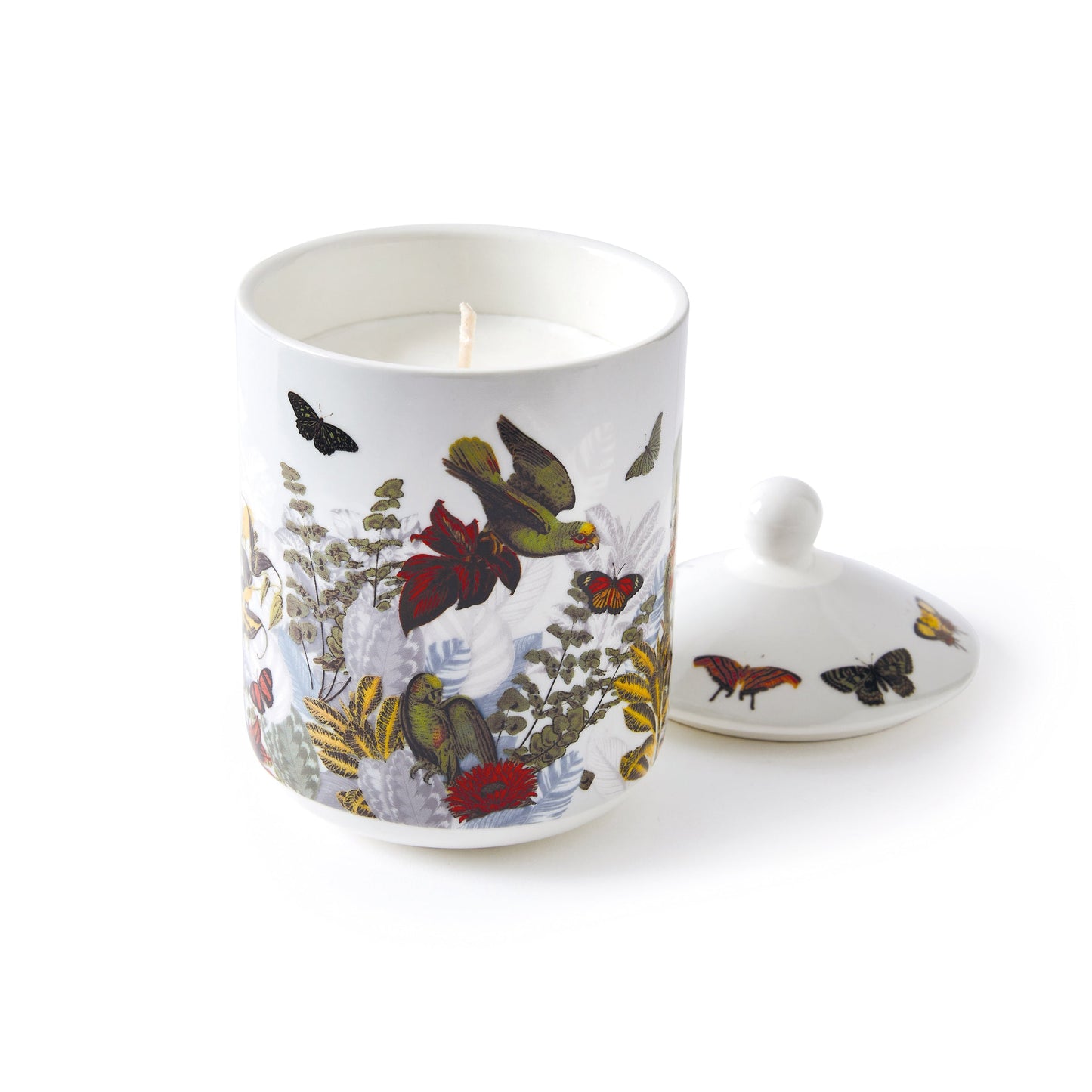 Scented candle in porcelain cup Jardin D'hiver - Fig - 315 g